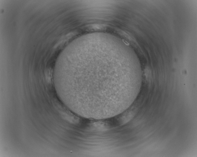 X0000076220423200610122055