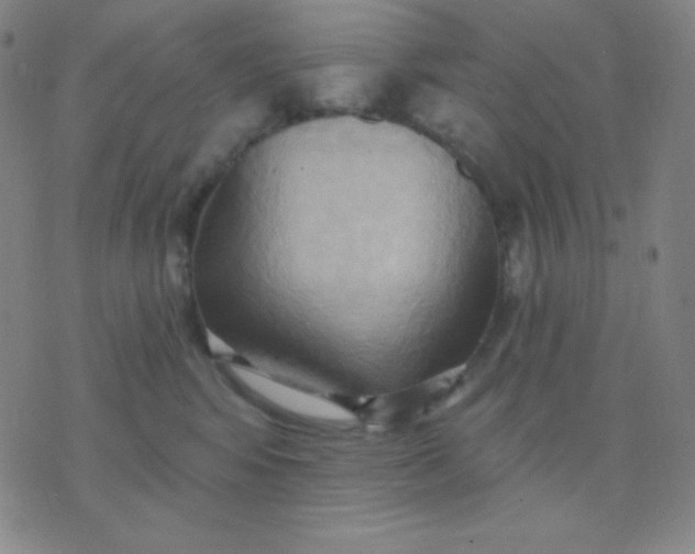 X0000076220424200610122055