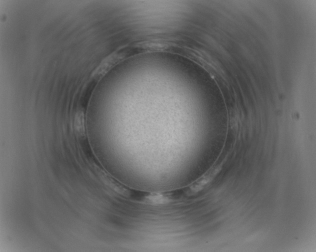 X0000076220425200610122055