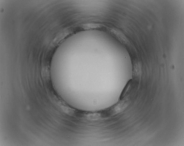 X0000076220426200610122055