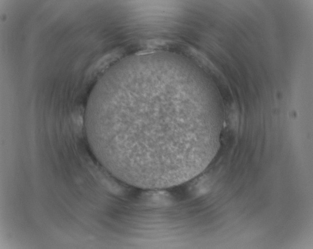 X0000076220427200610122054