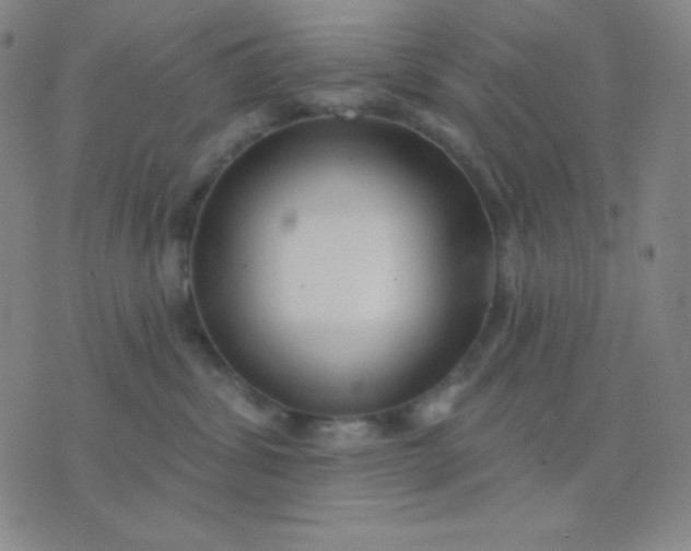 X0000076220428200610122054