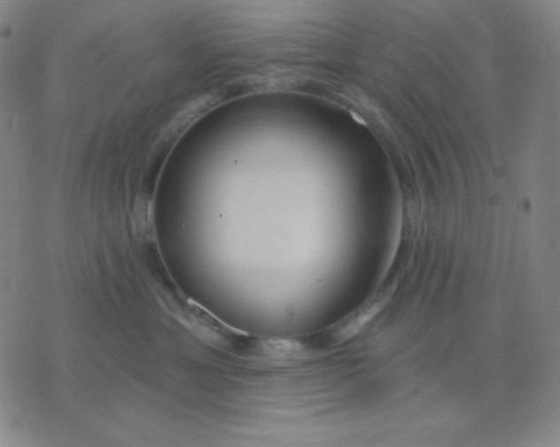 X0000076220429200610122054