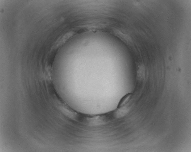 X0000076220430200610122054