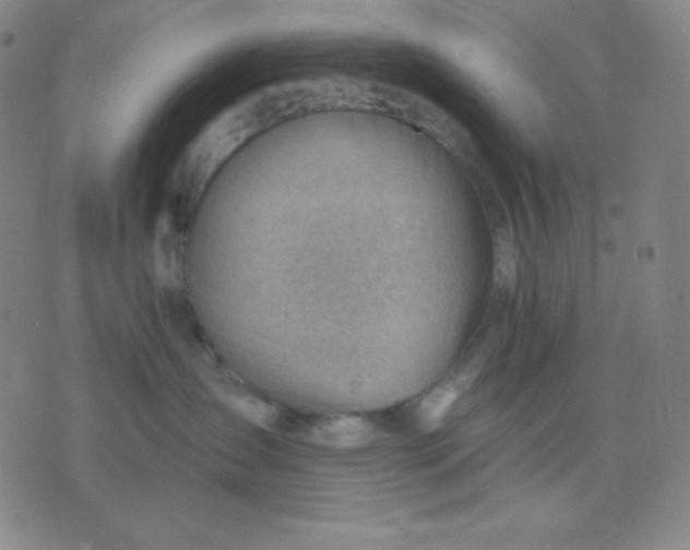 X0000076220431200610122054