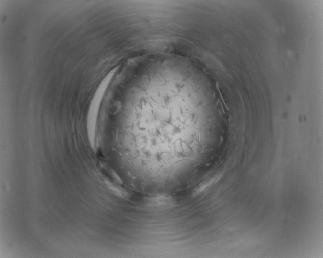 X0000076220432200610122054