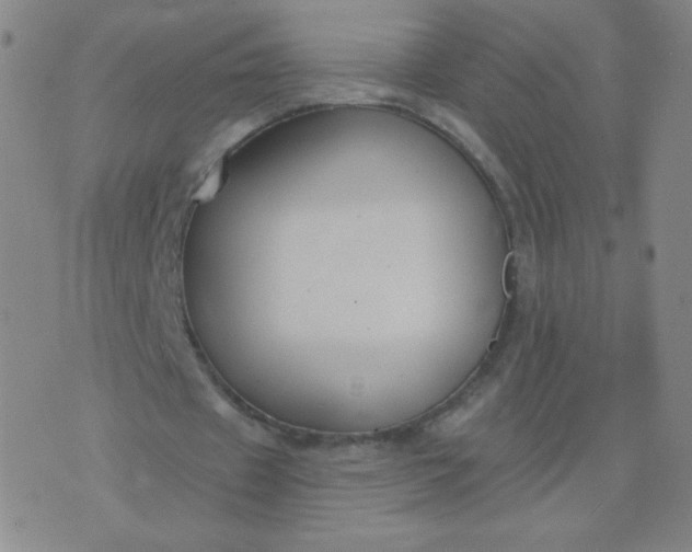 X0000076220433200610122054