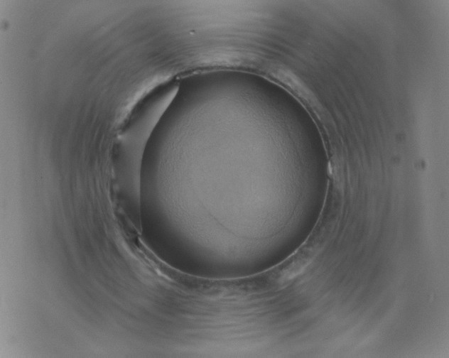 X0000076220434200610122054