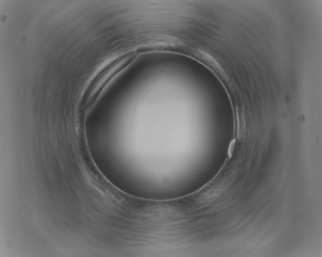 X0000076220435200610122054