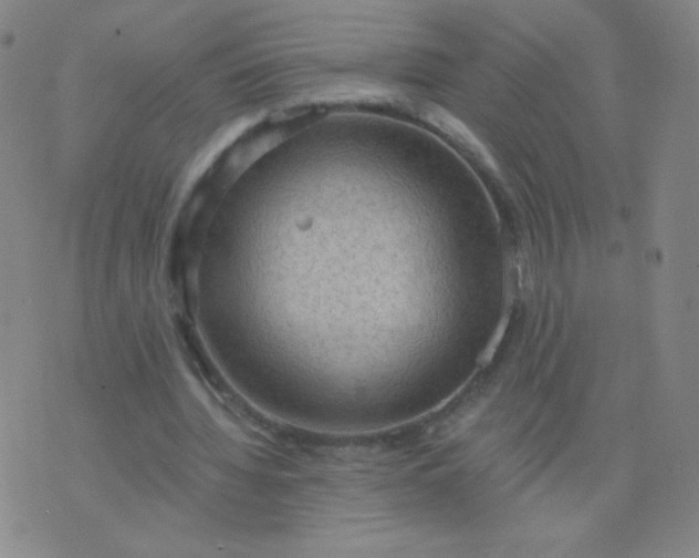 X0000076220436200610122054