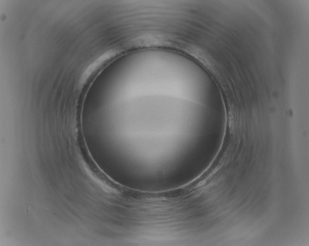 X0000076220438200610122054