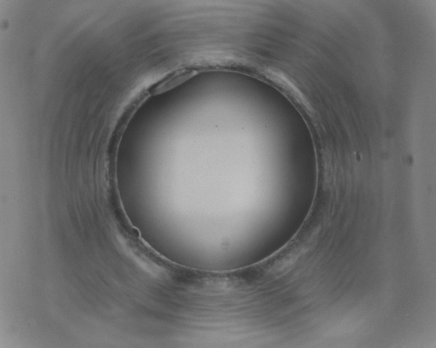 X0000076220439200610122054