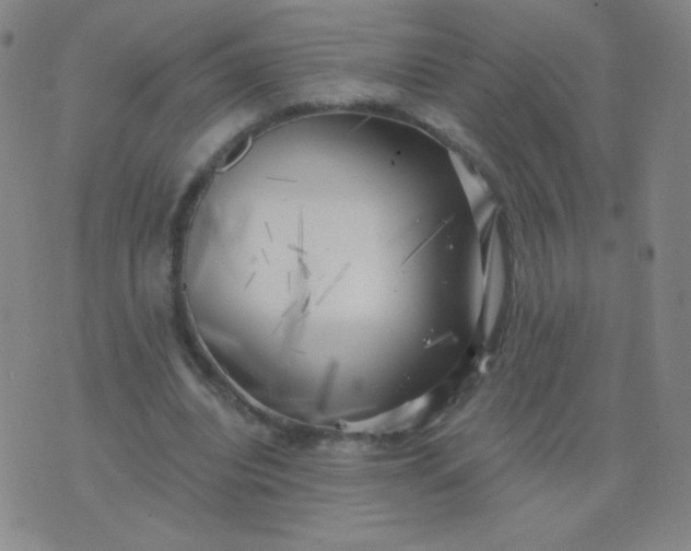 X0000076220440200610122054