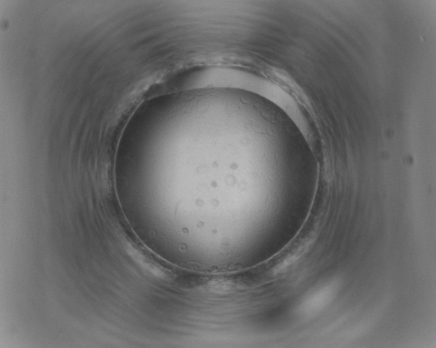 X0000076220441200610122054