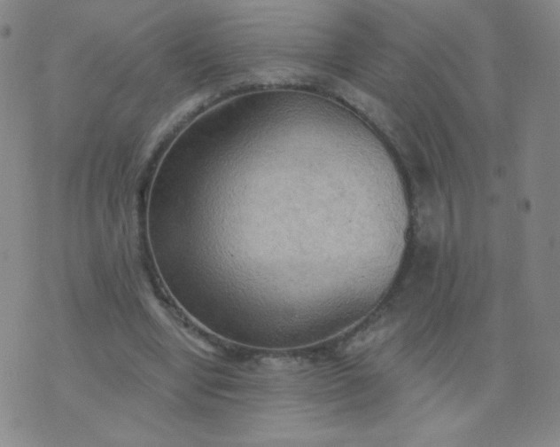 X0000076220442200610122054