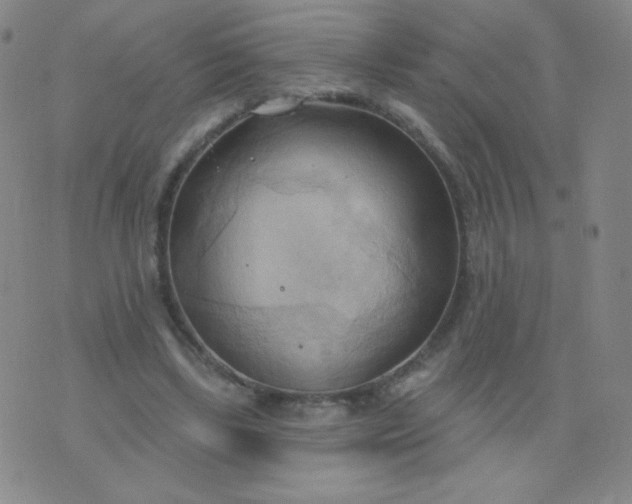 X0000076220443200610122054