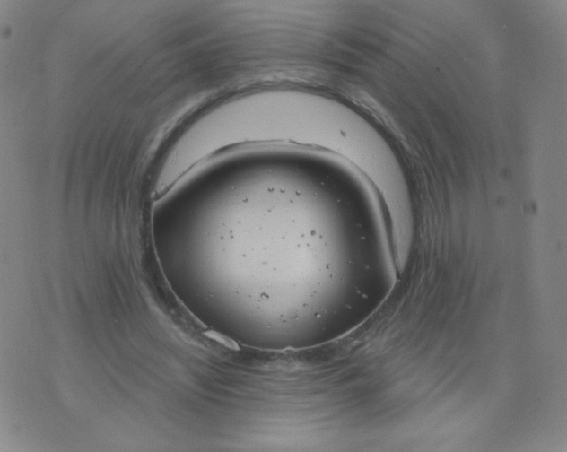 X0000076220444200610122054