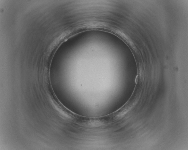 X0000076220445200610122054