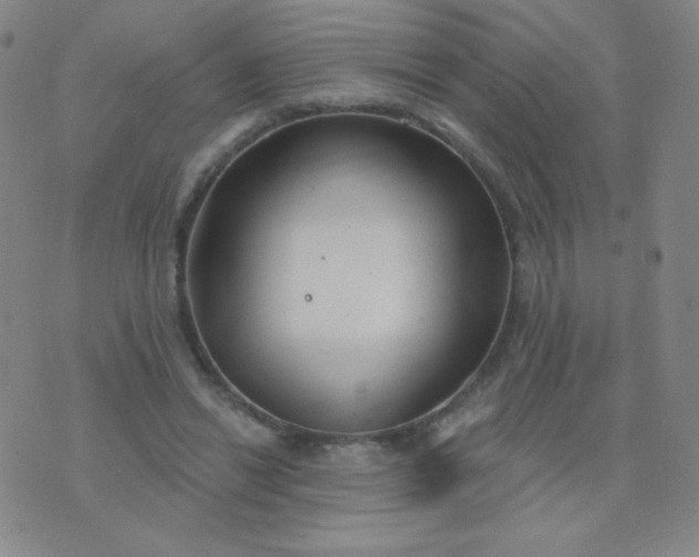 X0000076220446200610122054