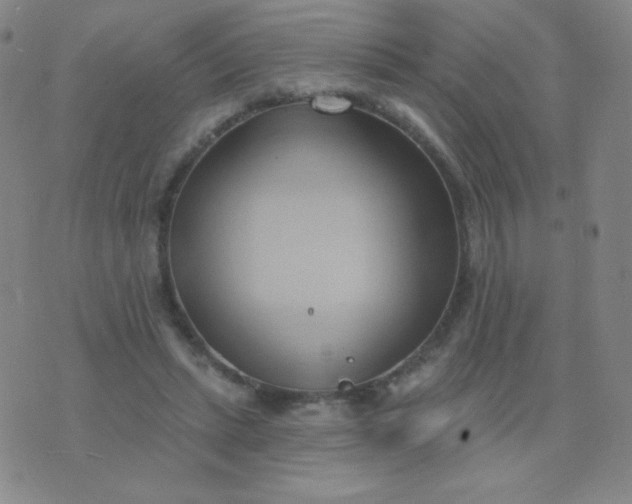 X0000076220447200610122054