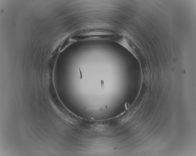 X0000076220448200610122054