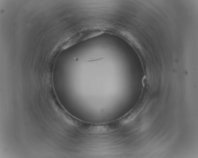 X0000076220449200610122054