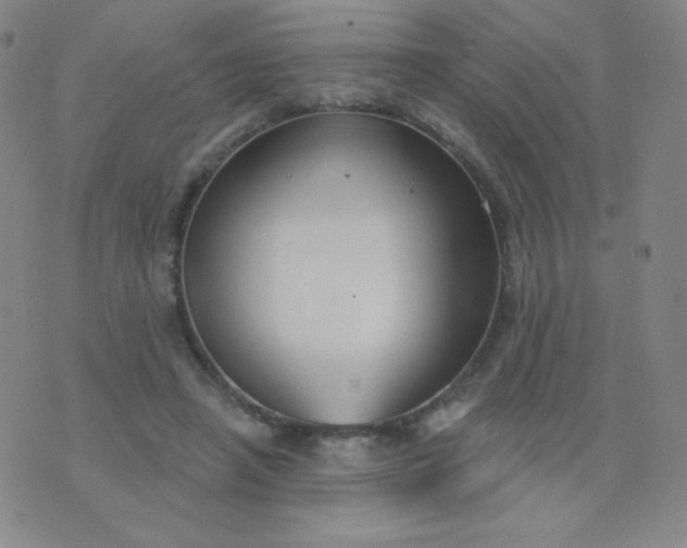 X0000076220450200610122054