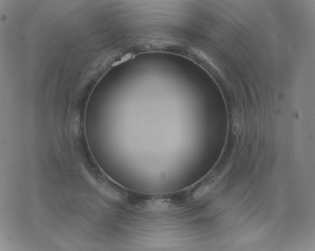 X0000076220451200610122054