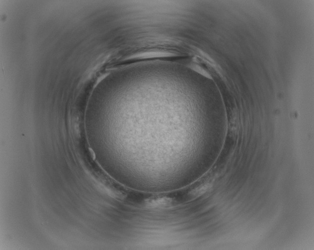 X0000076220452200610122054