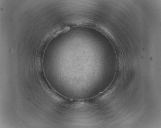 X0000076220453200610122054