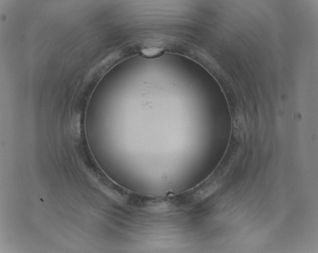 X0000076220454200610122054