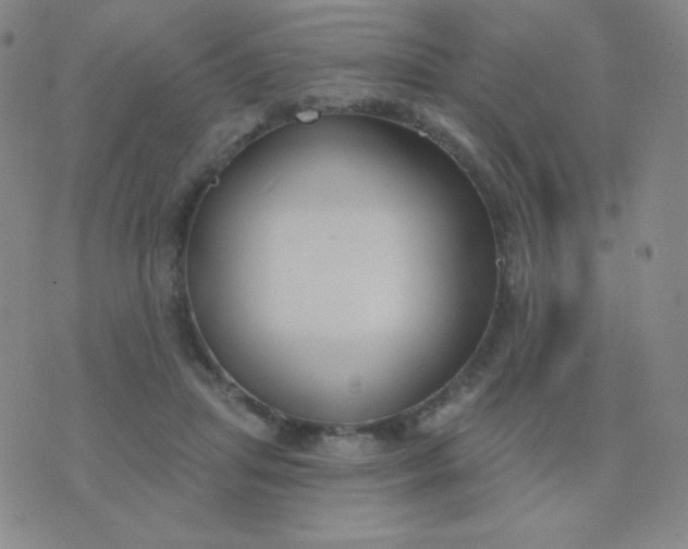 X0000076220455200610122054