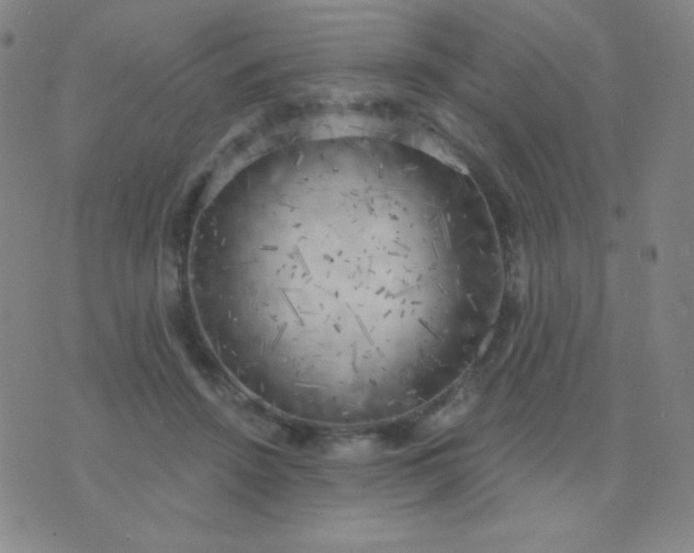 X0000076220456200610122054