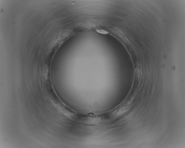 X0000076220458200610122054