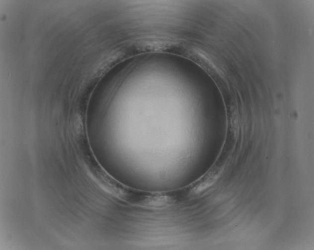 X0000076220459200610122054