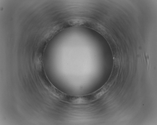 X0000076220460200610122054