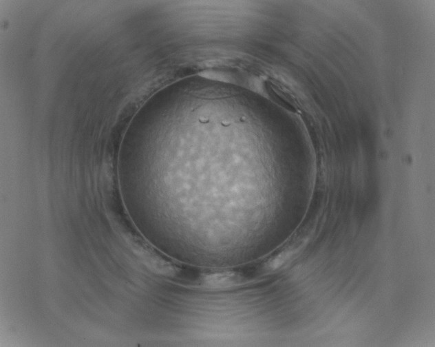 X0000076220461200610122054