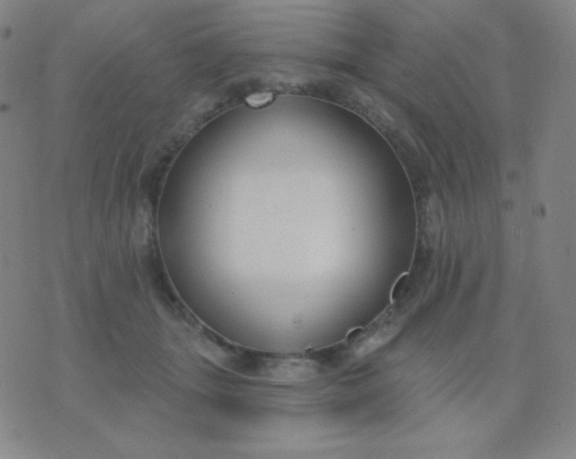 X0000076220463200610122054