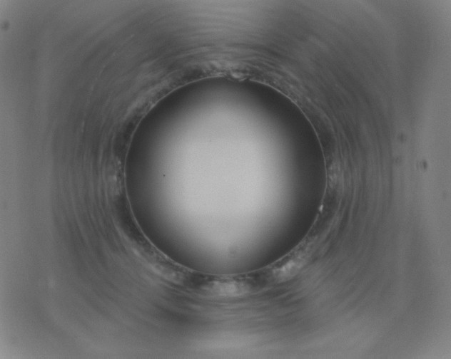 X0000076220464200610122054