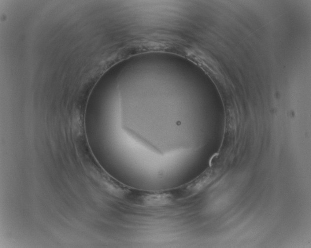 X0000076220465200610122054