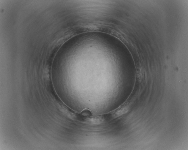 X0000076220466200610122054