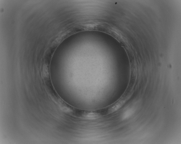 X0000076220467200610122054