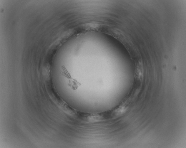 X0000076220468200610122054