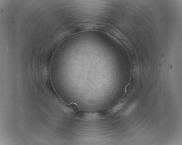 X0000076220469200610122054