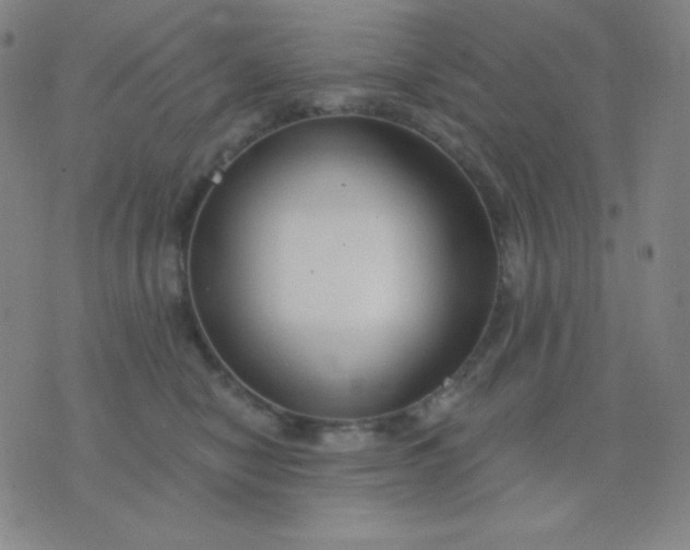 X0000076220470200610122054