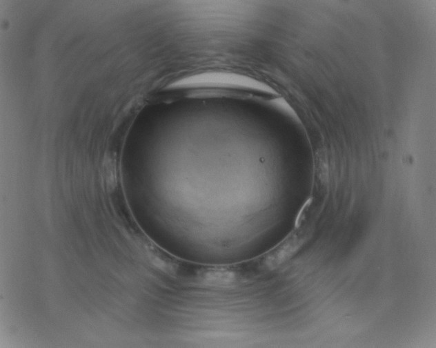 X0000076220471200610122054