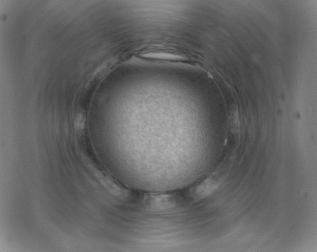 X0000076220472200610122054