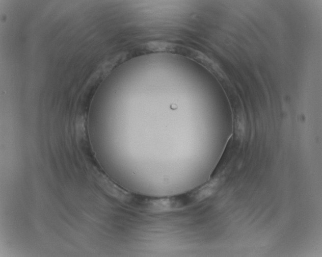 X0000076220473200610122054