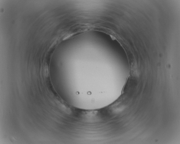 X0000076220474200610122054