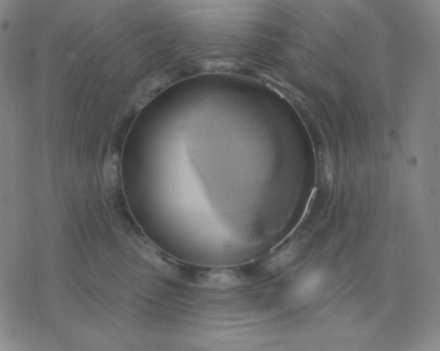 X0000076220475200610122054